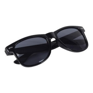Unisex Black Wayfair Sunglass