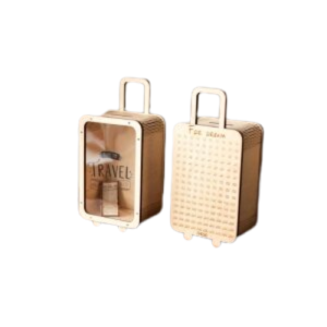 Travel Money Saving Bag