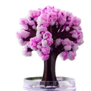 Magic Cherry Blossom Tree