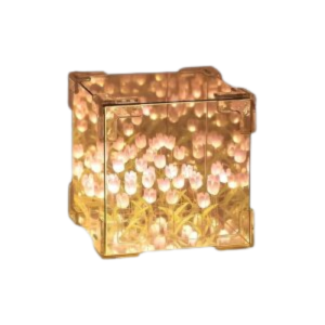 Tulip Cube Mirror Lamp