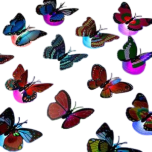 3DButterfly Led Light for Home Decoration (Pack of 3)